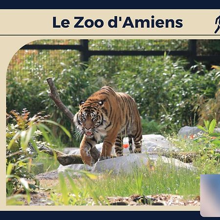 Le Carre D'Or - Appartement Confort - Jardin Prive Amiens Bagian luar foto